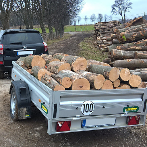 UNSINN Tieflader mit Brennholz beladen